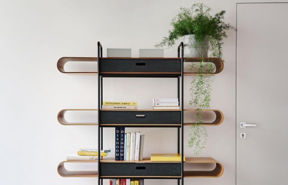 Apelle bookcase
