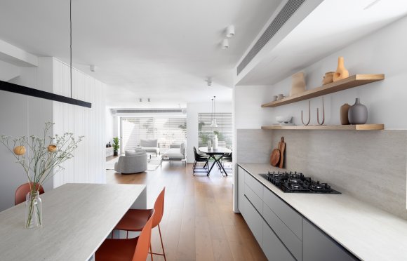 בית פרטי בנס ציונה